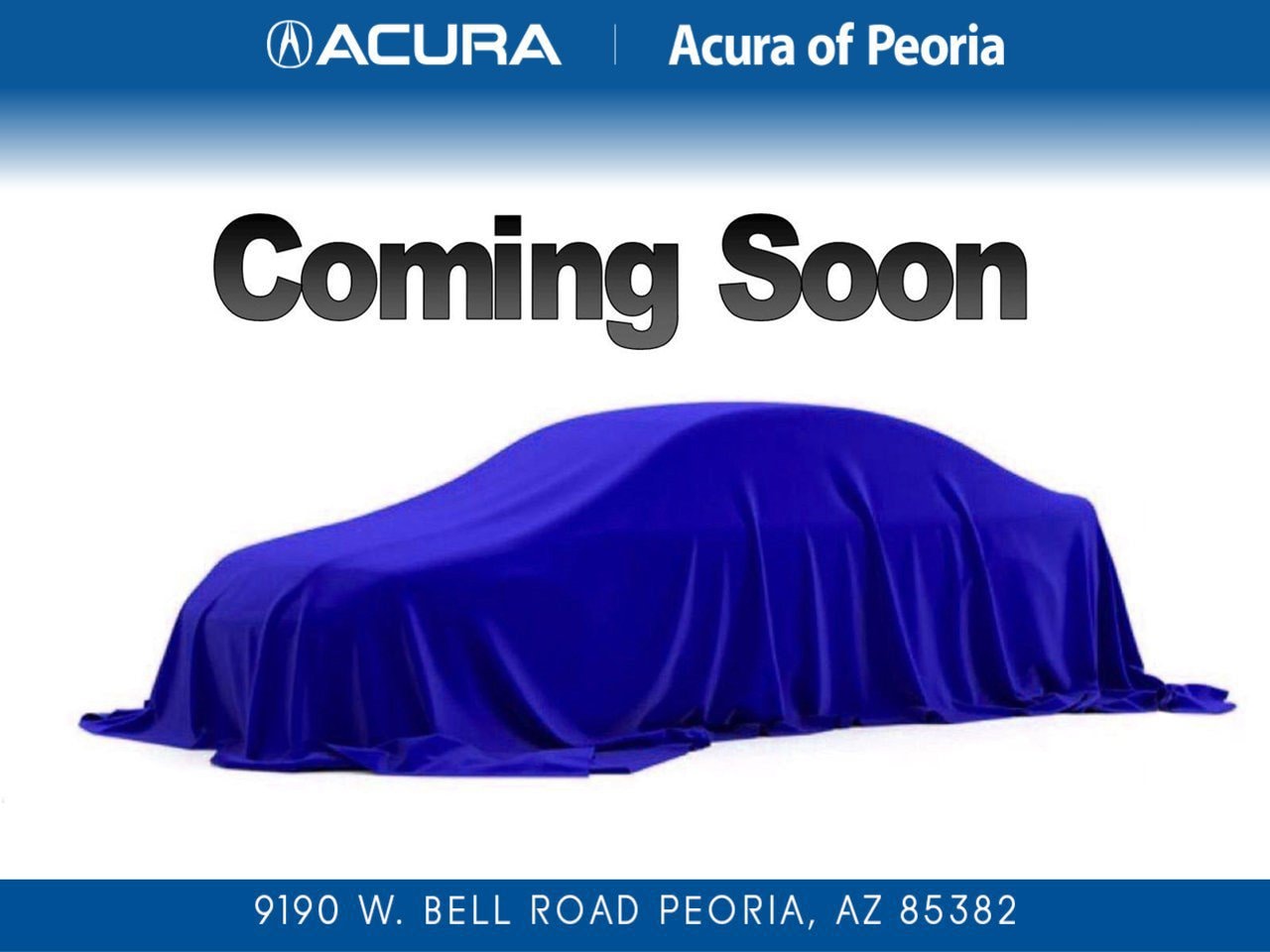 2009 Acura TL Technology Package