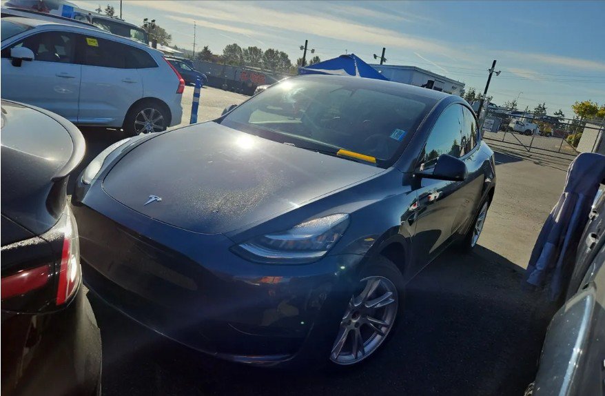  Tesla Model Y