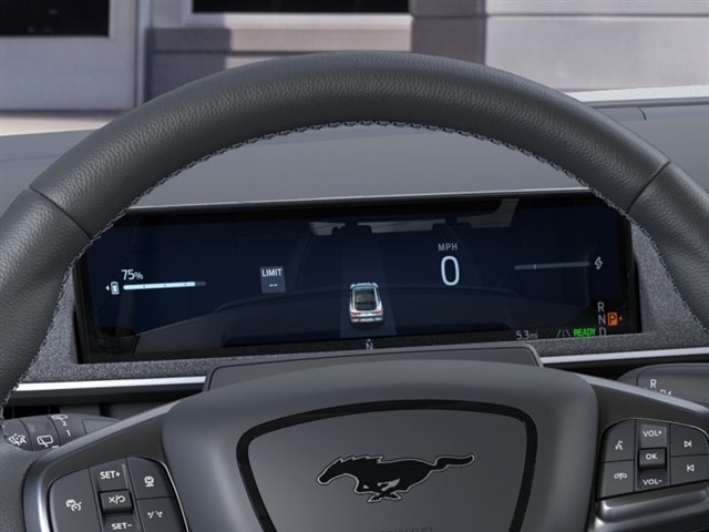 2025 Ford Mustang Mach-E GT - Photo 13