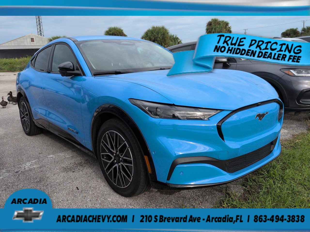 Used 2024 Ford Mustang Mach-E Premium Premium RWD