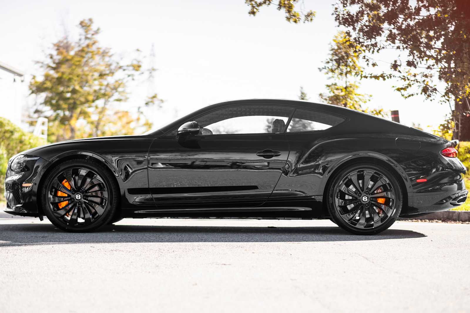 2025 Bentley Continental GT Black Edition - Photo 10