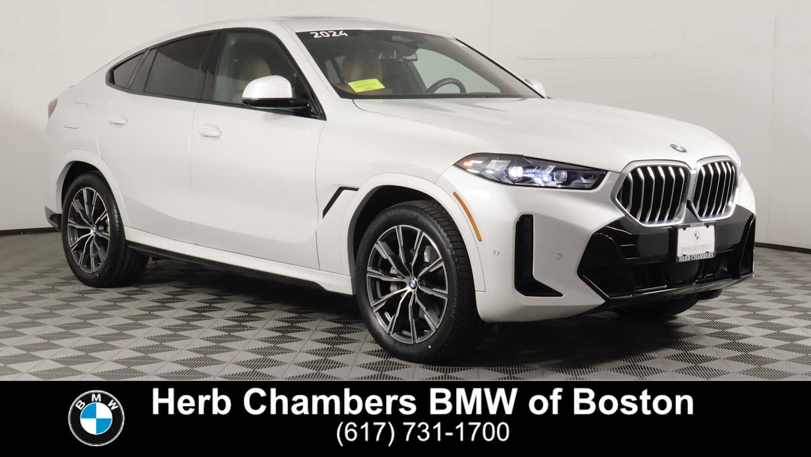 2024 BMW X6