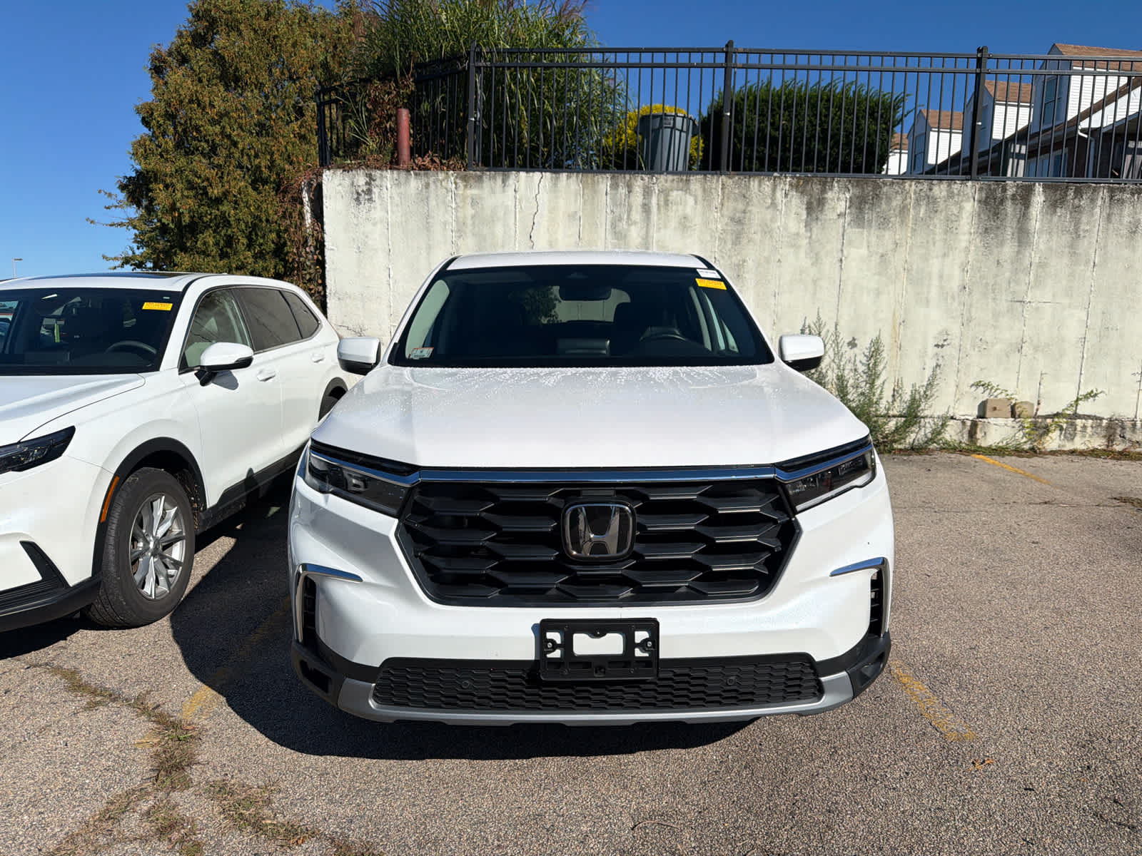 Used 2025 Honda Pilot EX-L SUV