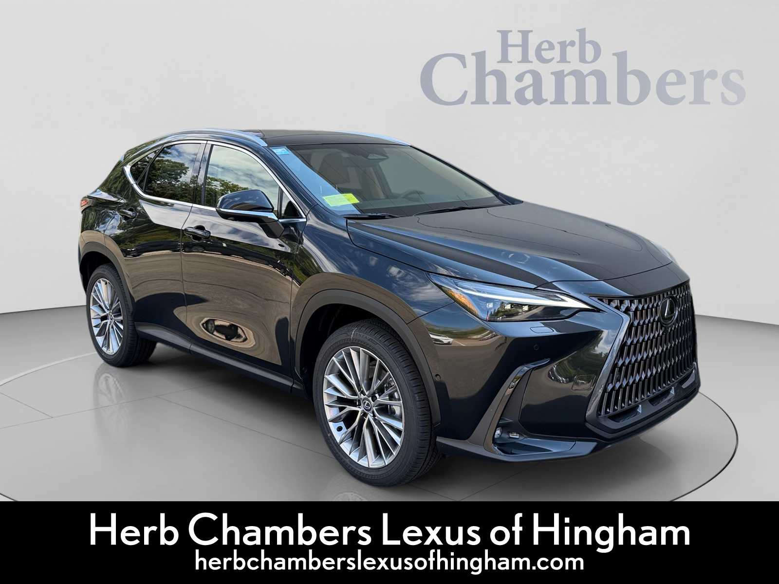 2026 Lexus NX 350