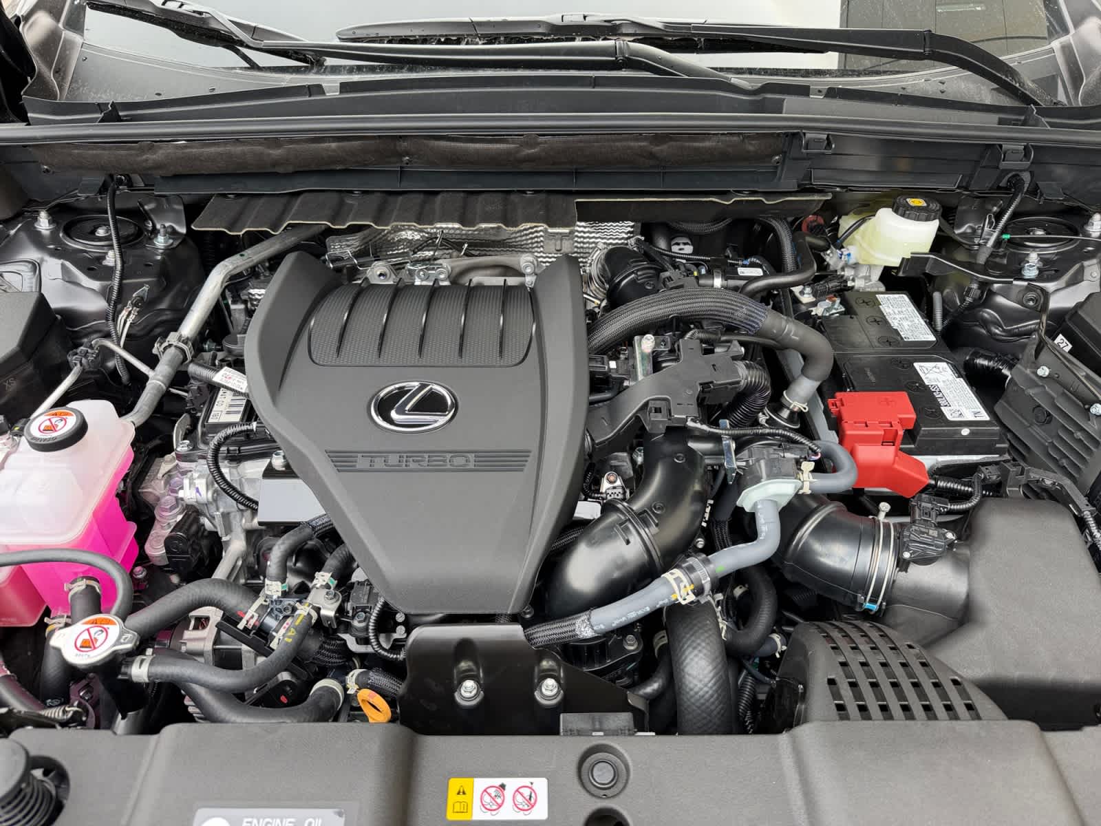 2026 Lexus NX 350 - Photo 8