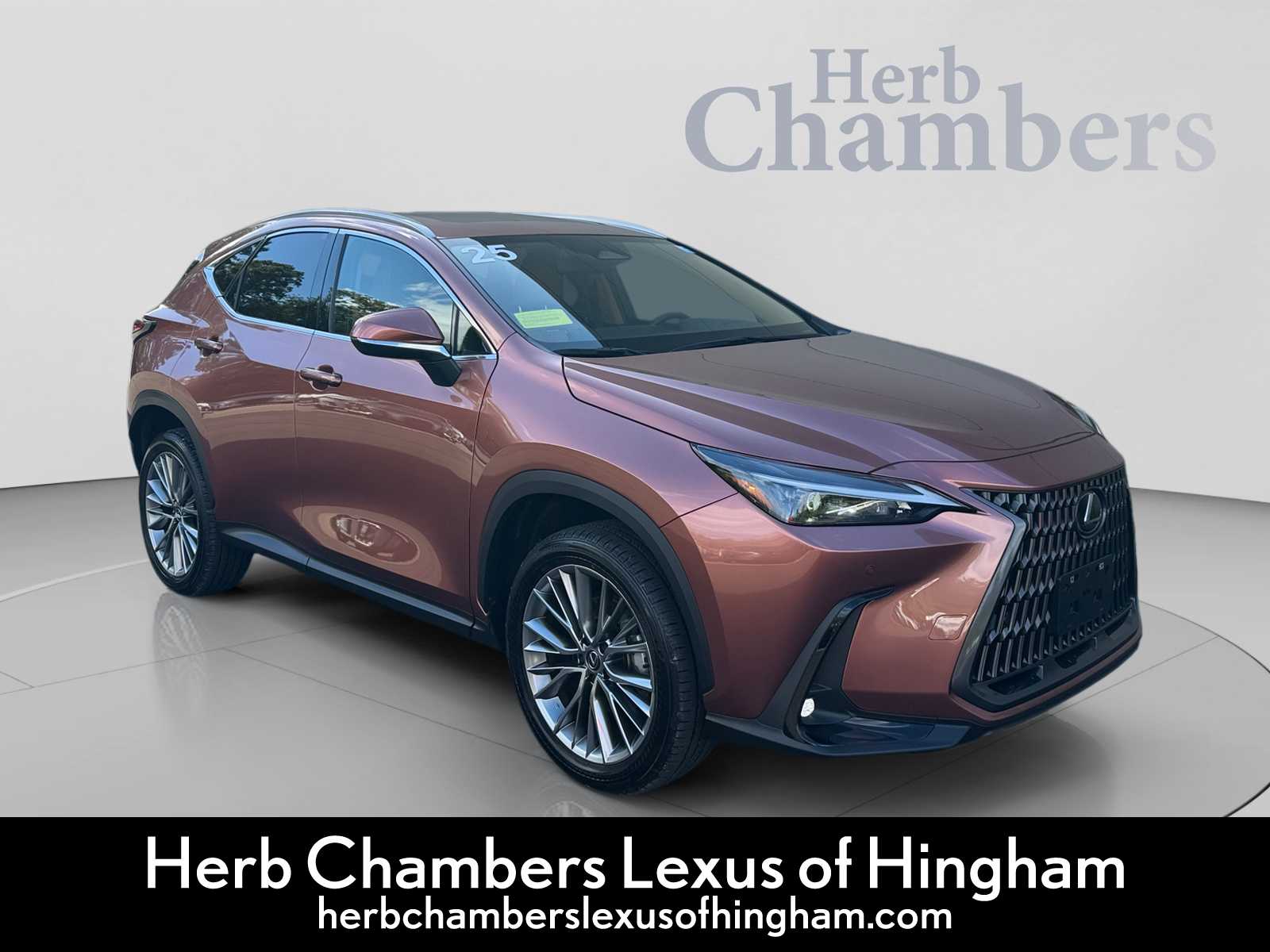2025 Lexus NX Hybrid