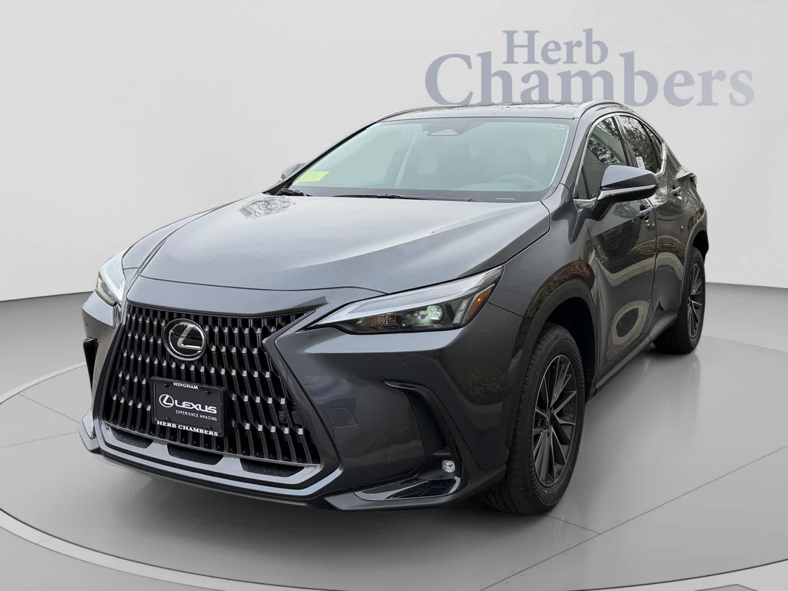 2026 Lexus NX 350 - Photo 11