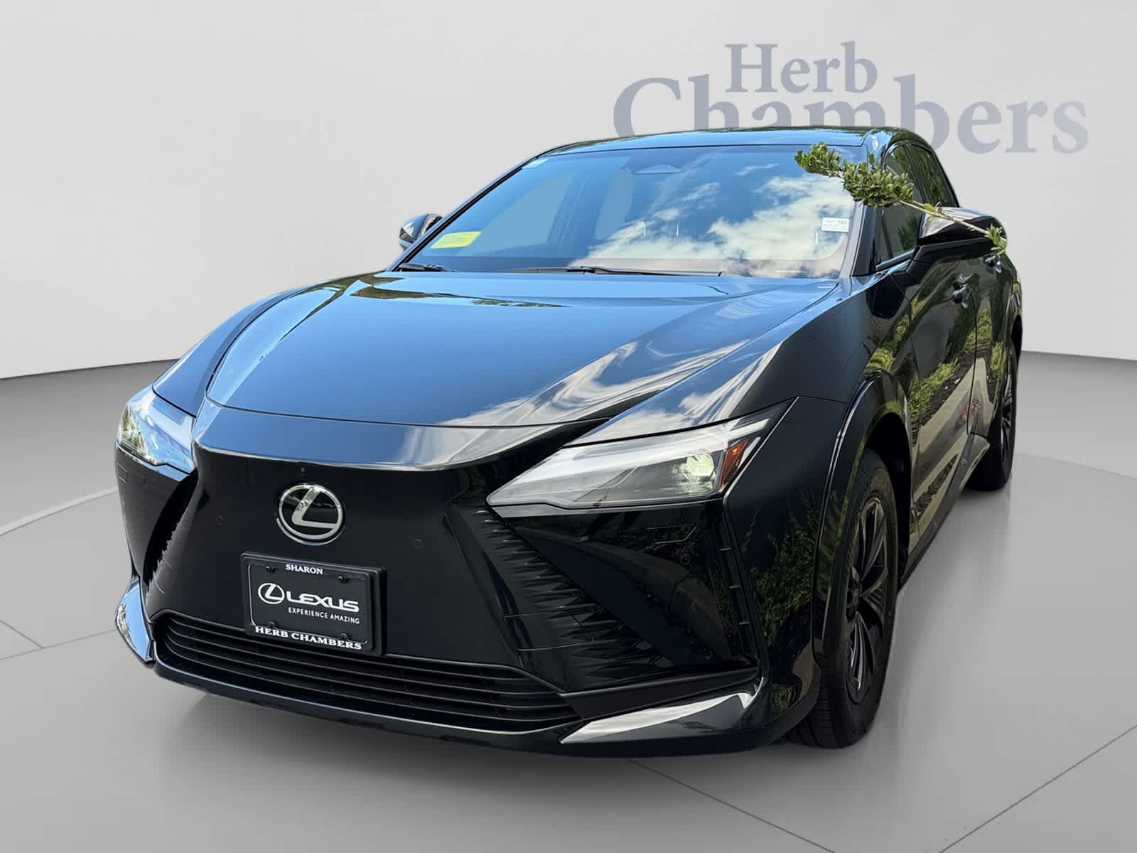 2026 Lexus RZ Premium - Photo 8