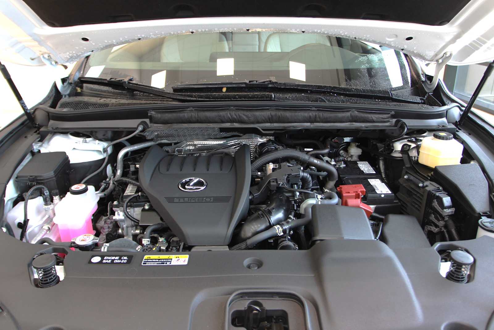 2026 Lexus RX 350 - Photo 10