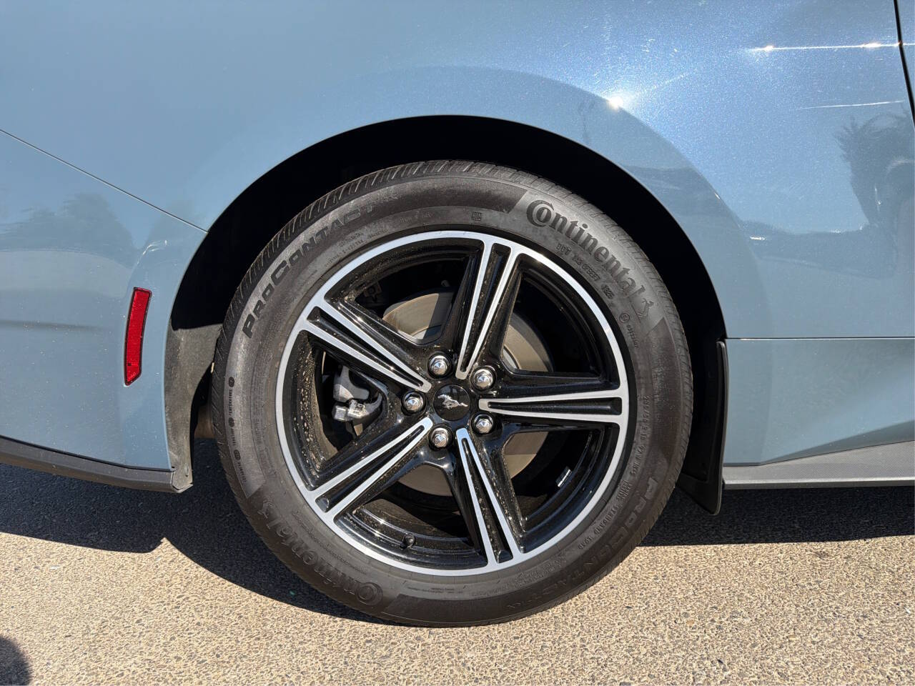 2025 Ford Mustang EcoBoost - Photo 15