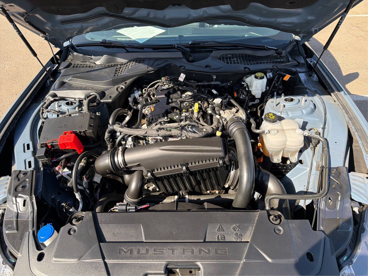 2025 Ford Mustang EcoBoost - Photo 14