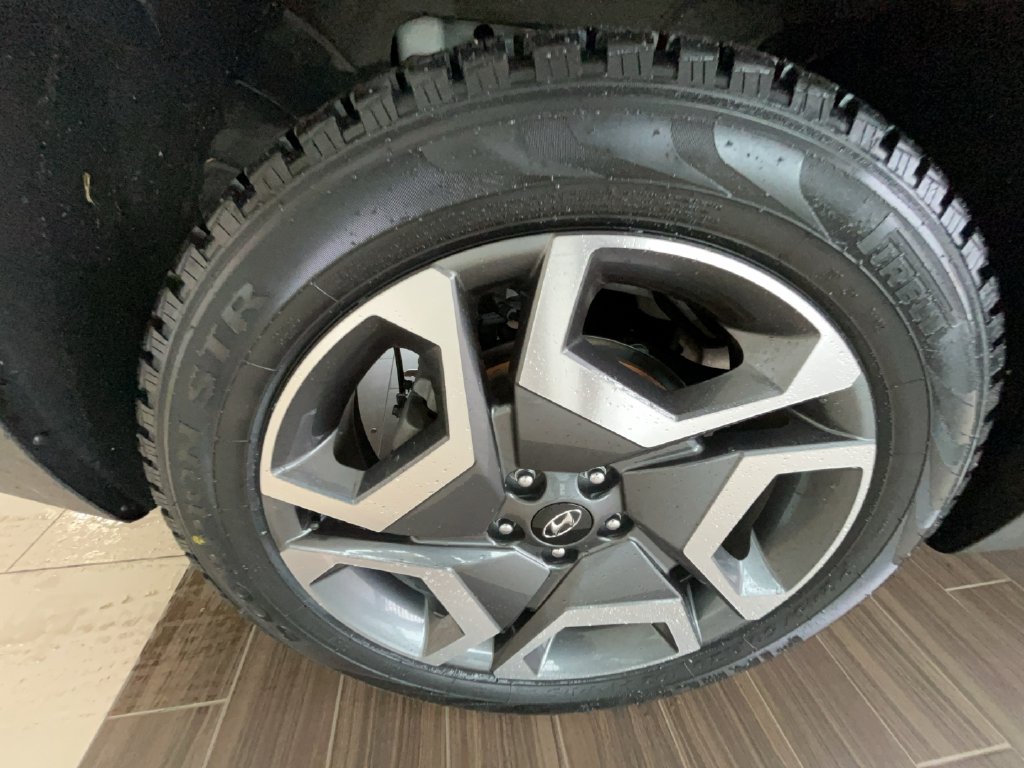 2024 Hyundai Palisade Limited - Photo 9