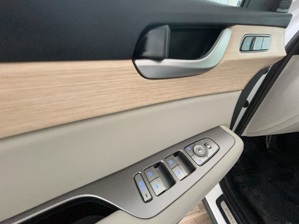 2024 Hyundai Palisade Limited - Photo 19