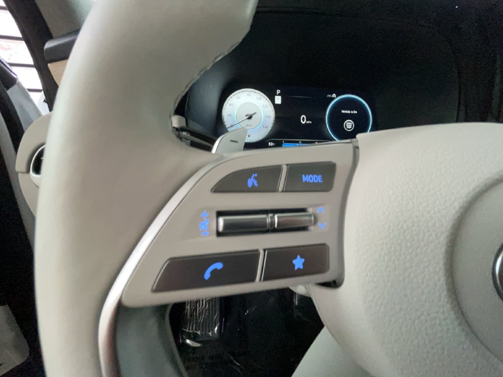 2024 Hyundai Palisade Limited - Photo 29