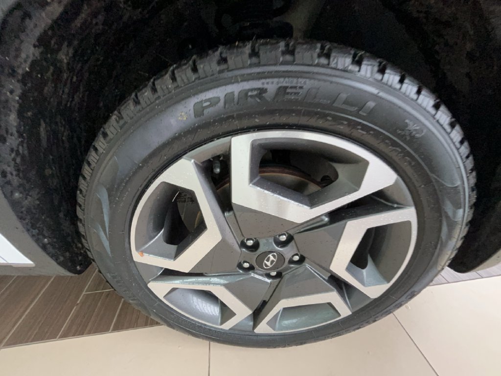 2024 Hyundai Palisade Limited - Photo 10
