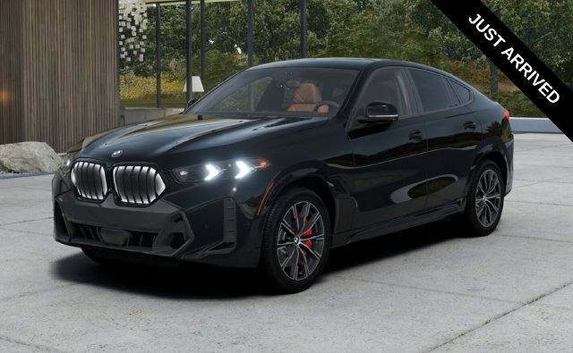 2027 BMW X6