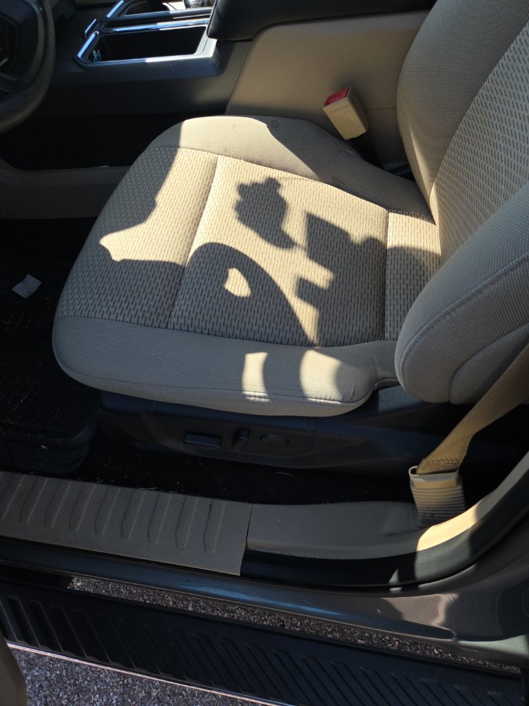 Used 2019 Ford F-150 XLT Truck