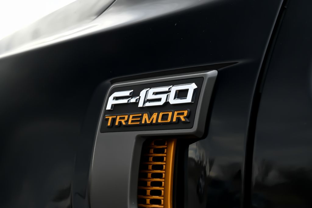 2023 Ford F-150 Tremor - Photo 9