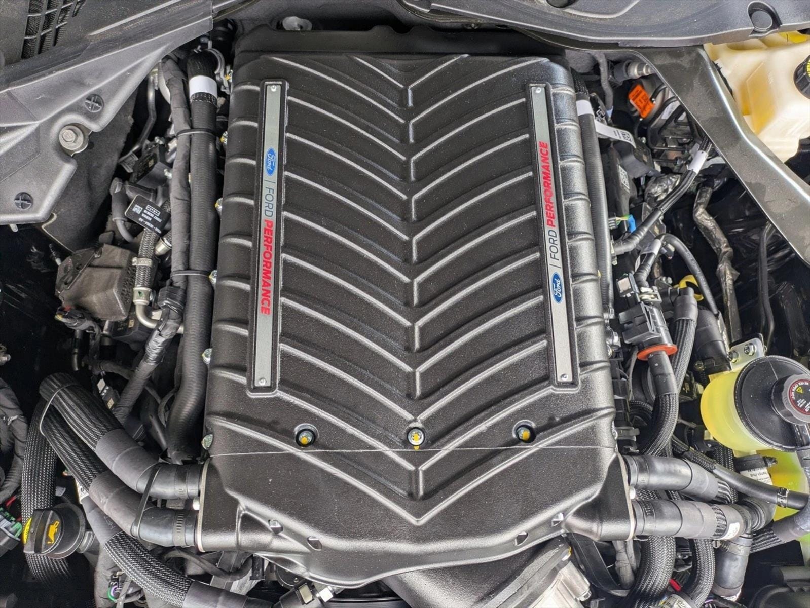 2025 Ford Mustang GT Premium Fastback - Photo 19