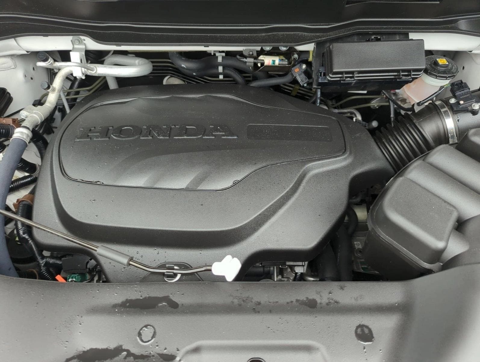 2025 Honda Ridgeline Black Edition - Photo 24