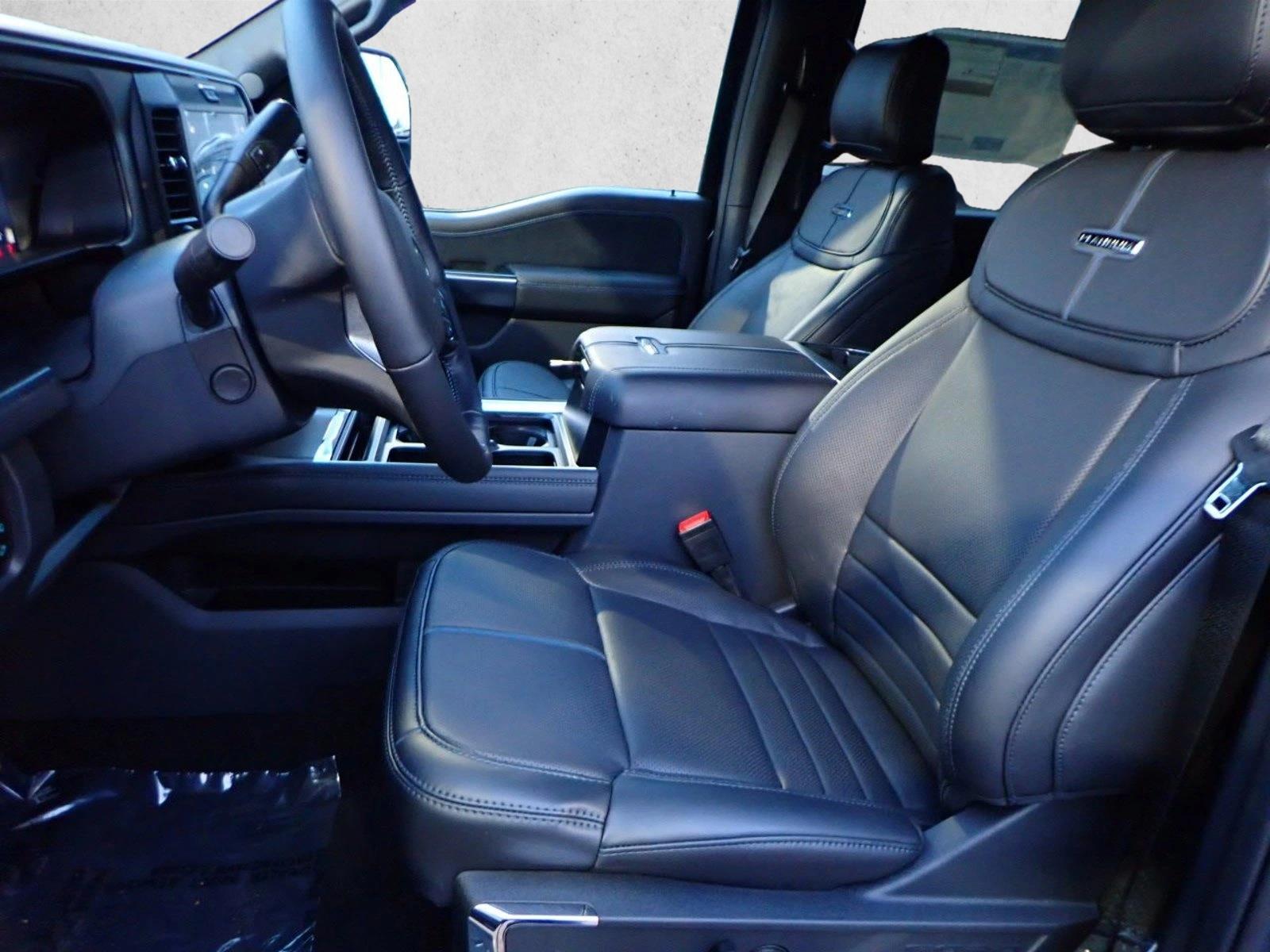 2026 Ford F-250 Super Duty Platinum - Photo 10