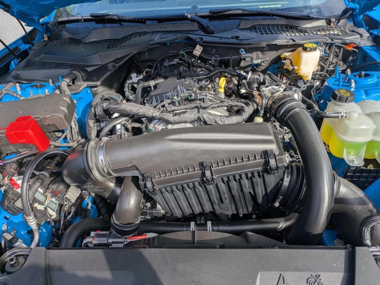 2026 Ford Mustang EcoBoost Fastback - Photo 15