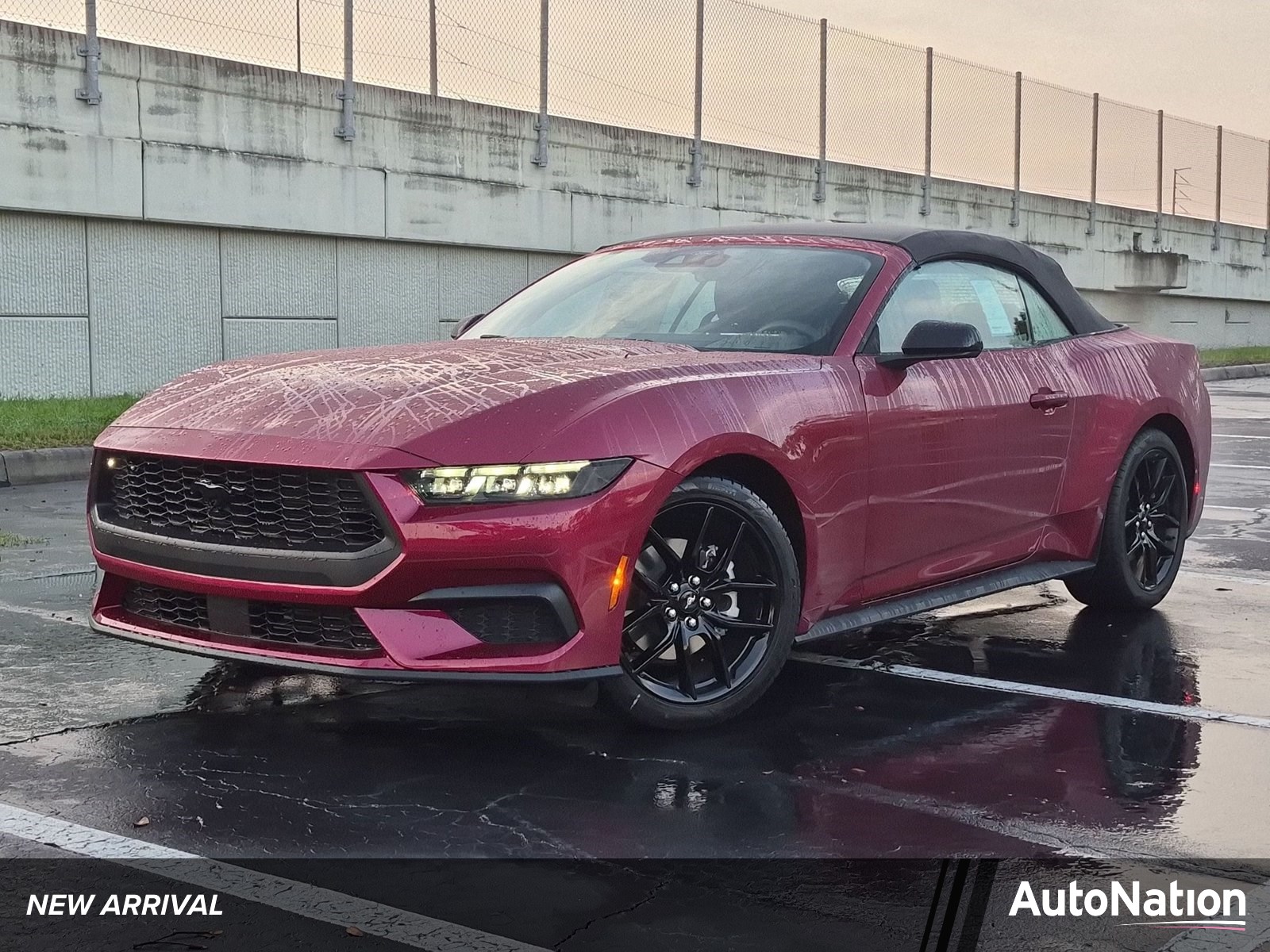  Ford Mustang