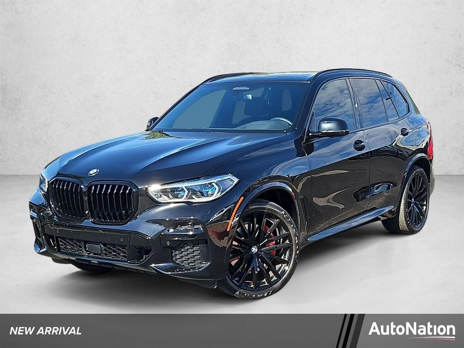2023 BMW X5
