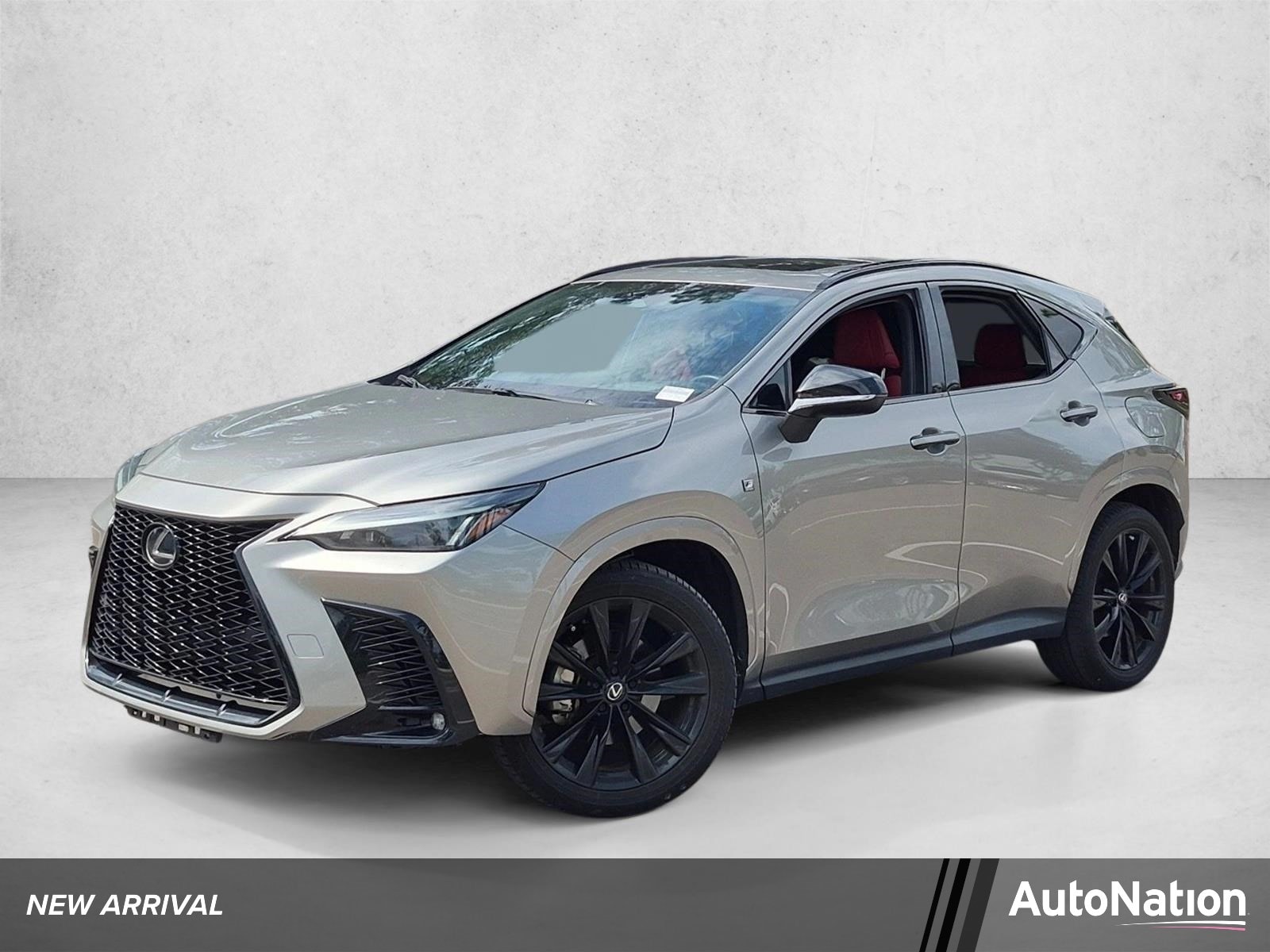 2024 Lexus NX