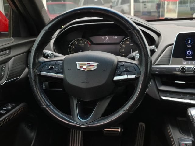 Photo 19