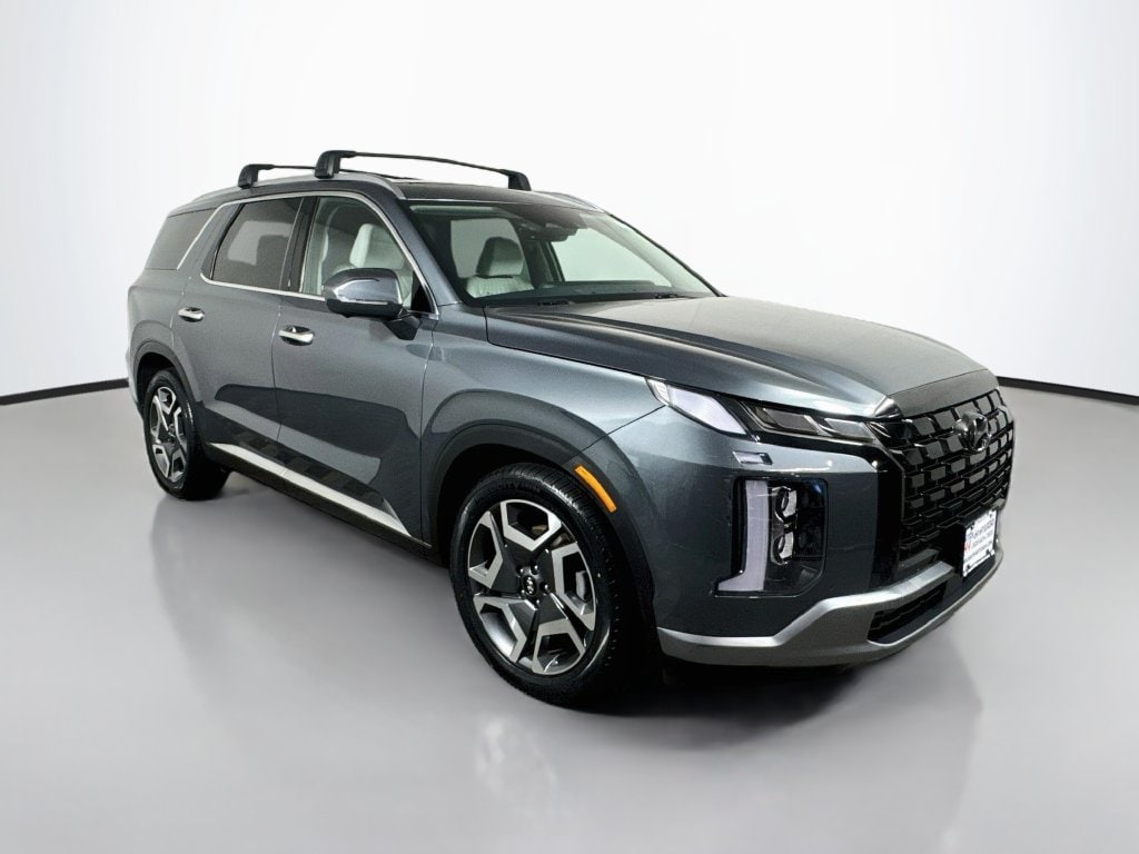 2024 Hyundai Palisade Limited - Photo 10
