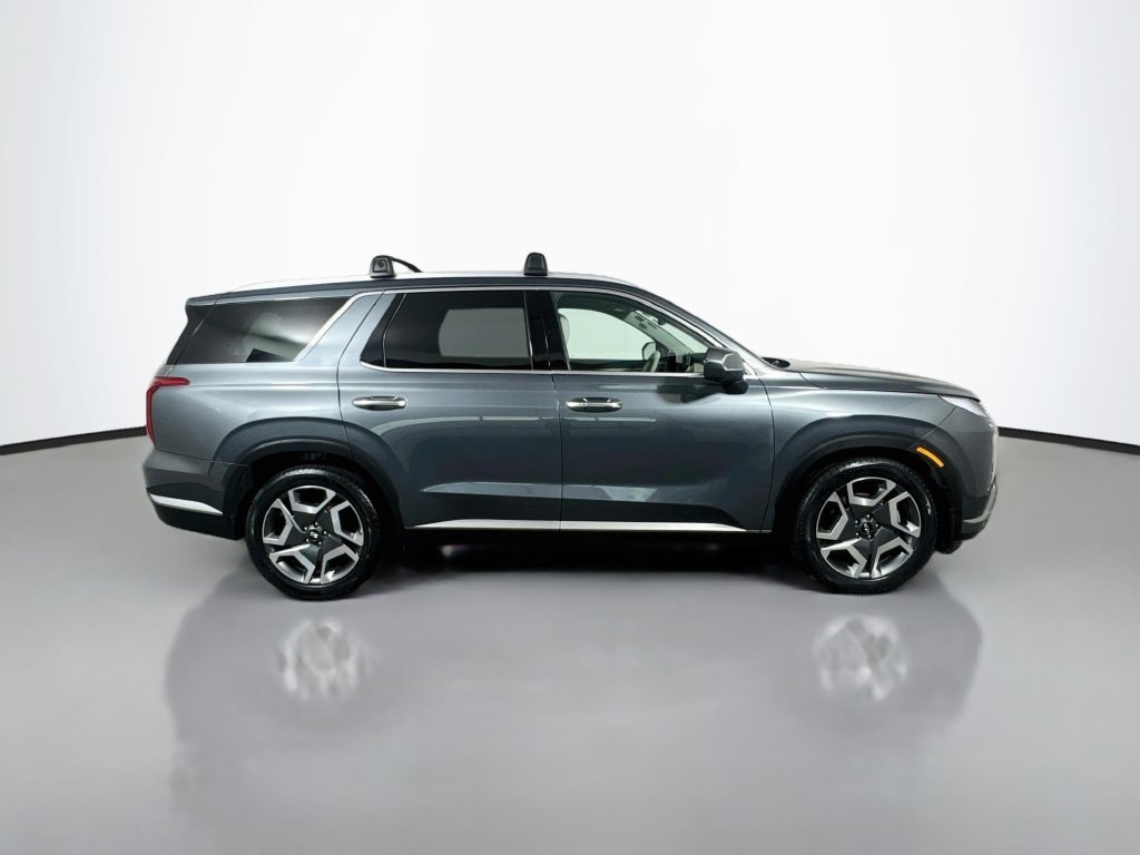 2024 Hyundai Palisade Limited - Photo 9
