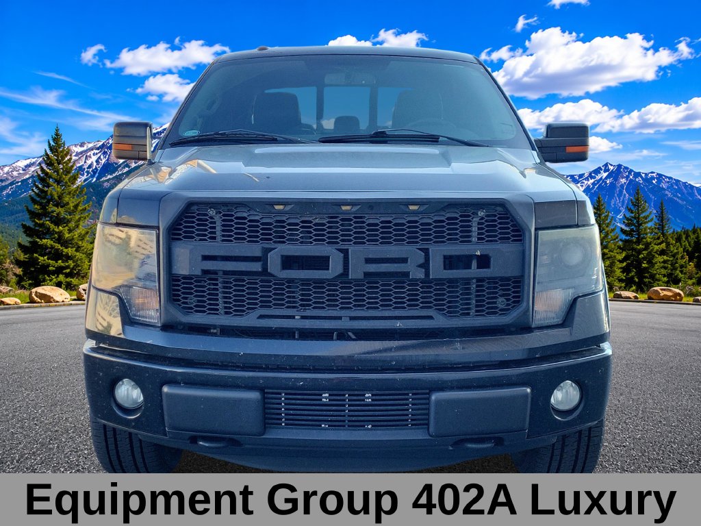 Used 2014 Ford F-150 FX4 Truck