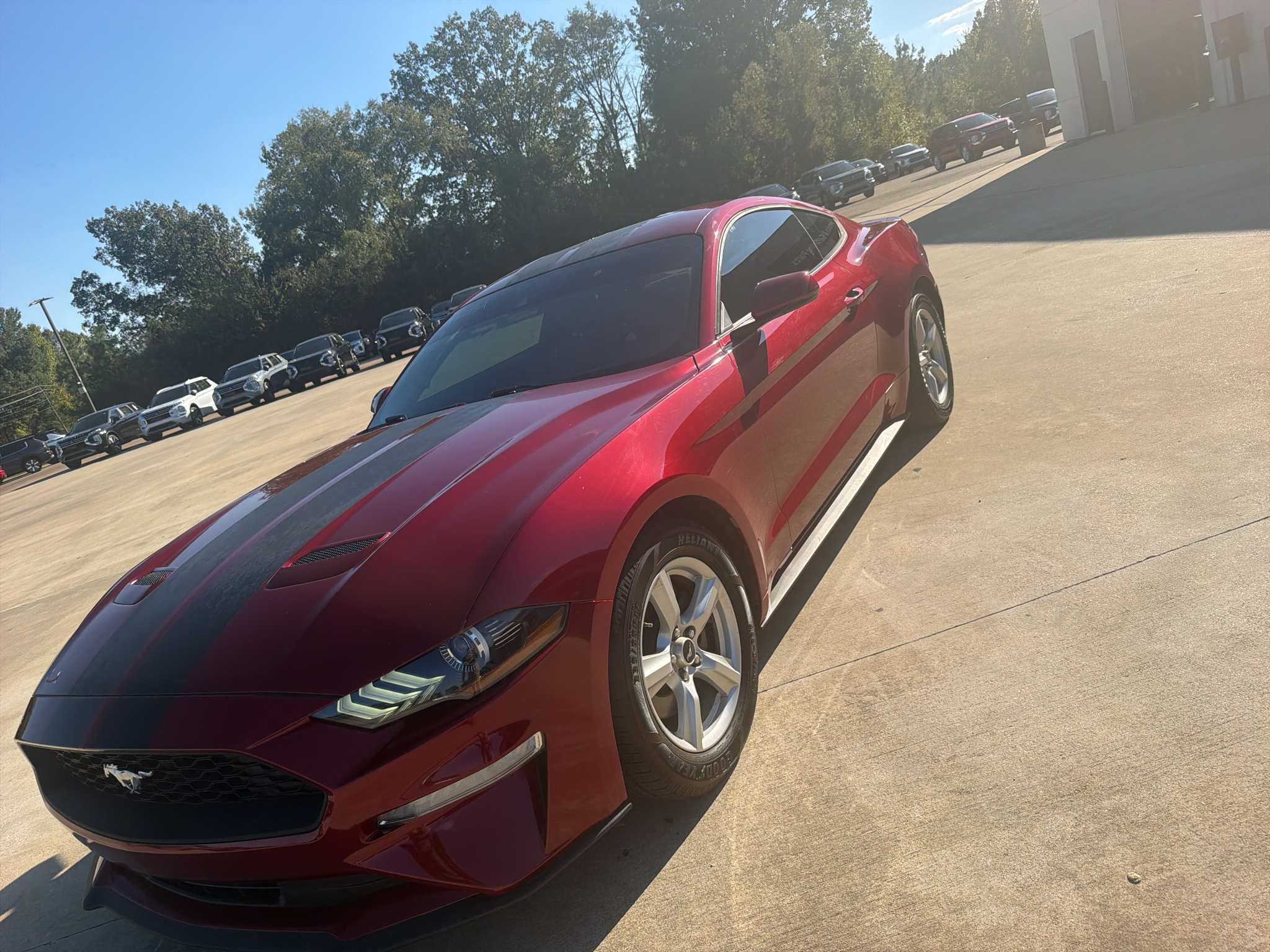 Ford Mustang