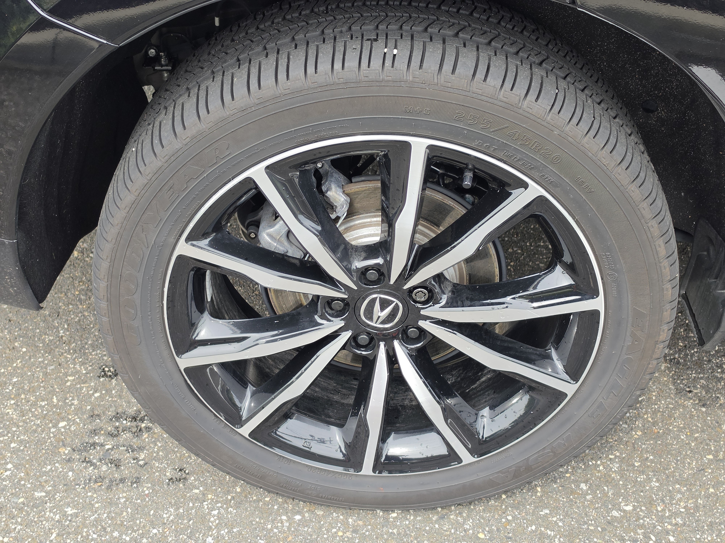 2025 Acura RDX A-Spec w/ Advance Package - Photo 9