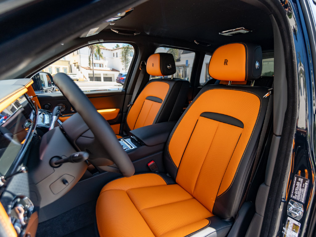 2027 Rolls-Royce Cullinan Black Badge - Photo 10