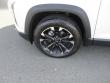 2025 Chevrolet Equinox RS SUV
