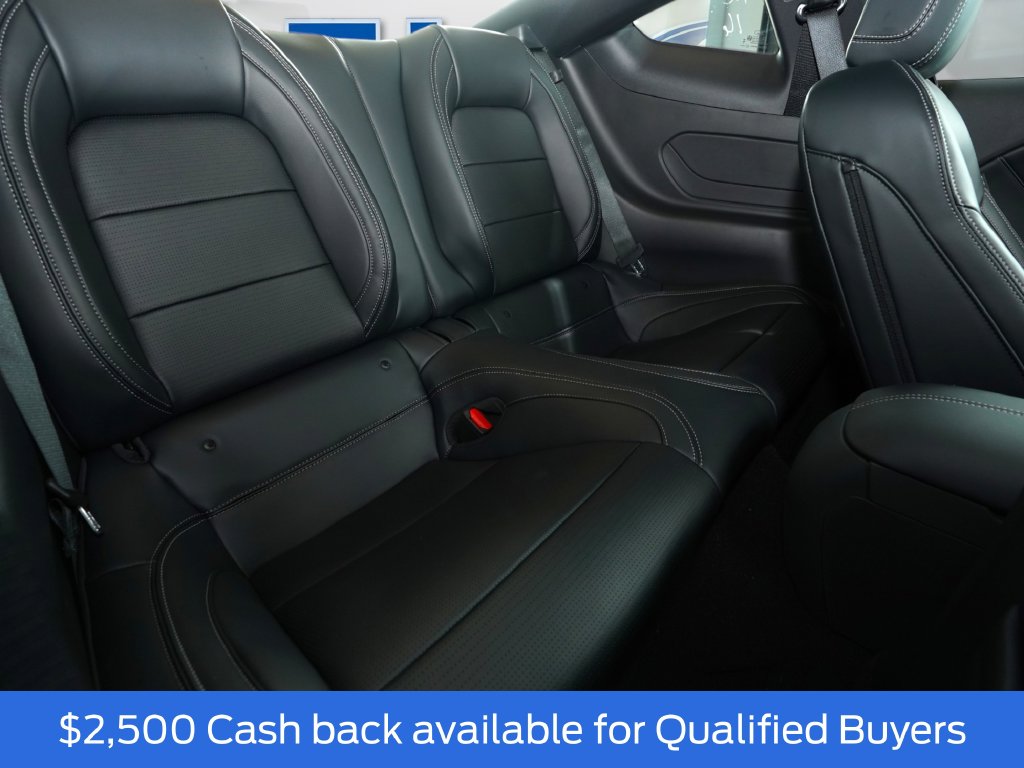 2026 Ford Mustang EcoBoost Premium Fastback - Photo 17