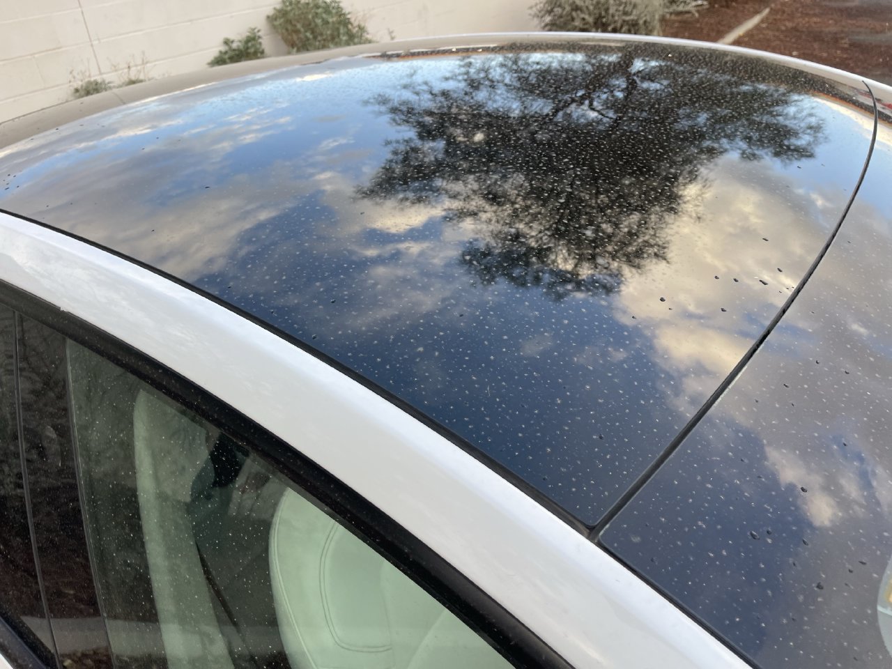 Used 2024 Tesla Model Y Long Range SUV