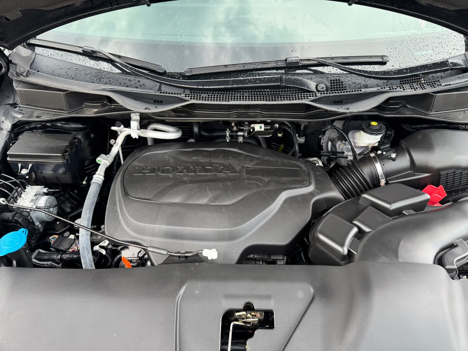 2025 Honda Odyssey Sport L - Photo 24