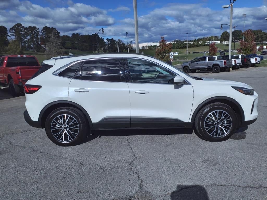 Used 2024 Ford Escape Phev Sport Utility
