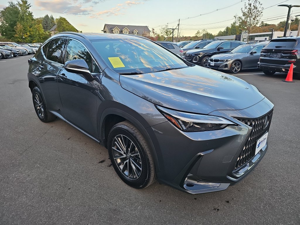 2025 Lexus NX