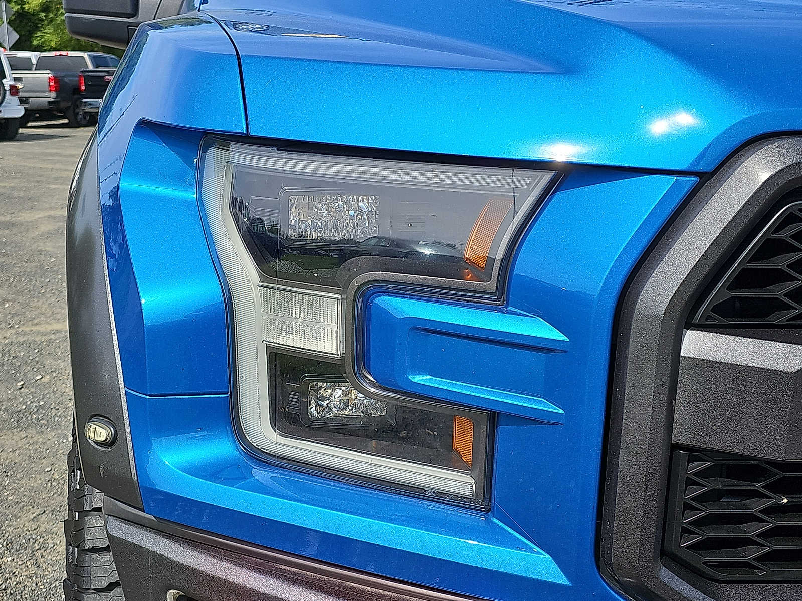 2020 Ford F-150 Raptor - Photo 9