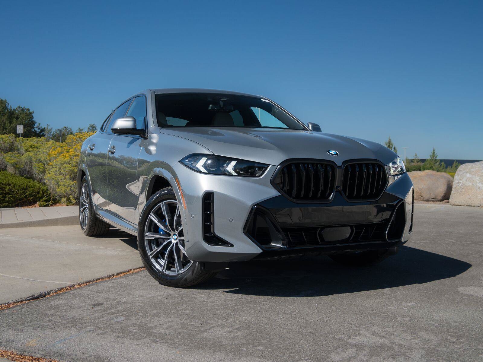 2024 BMW X6