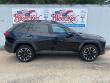 2021 Toyota RAV4 Adventure AWD (SE)