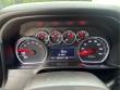 2021 Chevrolet Silverado 1500 LT Trail Boss 4WD Crew Cab 147 Truck Crew Cab