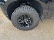 2021 Chevrolet Silverado 1500 LT Trail Boss 4WD Crew Cab 147 Truck Crew Cab