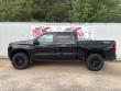 2021 Chevrolet Silverado 1500 LT Trail Boss 4WD Crew Cab 147 Truck Crew Cab