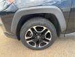 2021 Toyota RAV4 Adventure AWD (SE)