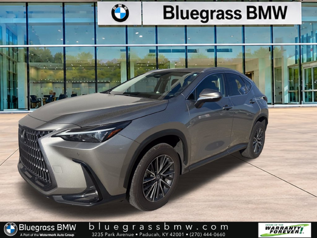 2024 Lexus NX